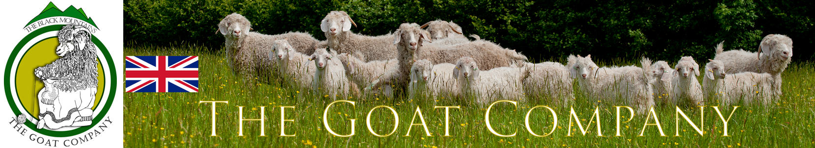 Sustainable Mohair products from The Goat Company