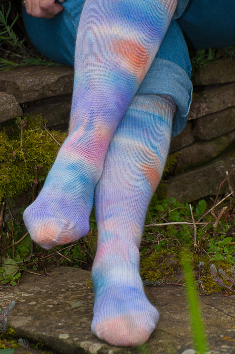  DSC4994