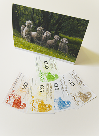 Gift Vouchers