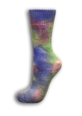 _dsc9972-random-sock-short-ranger