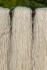 2ply Double knitting yarn Oatmeal 