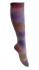 Rainbow Socks